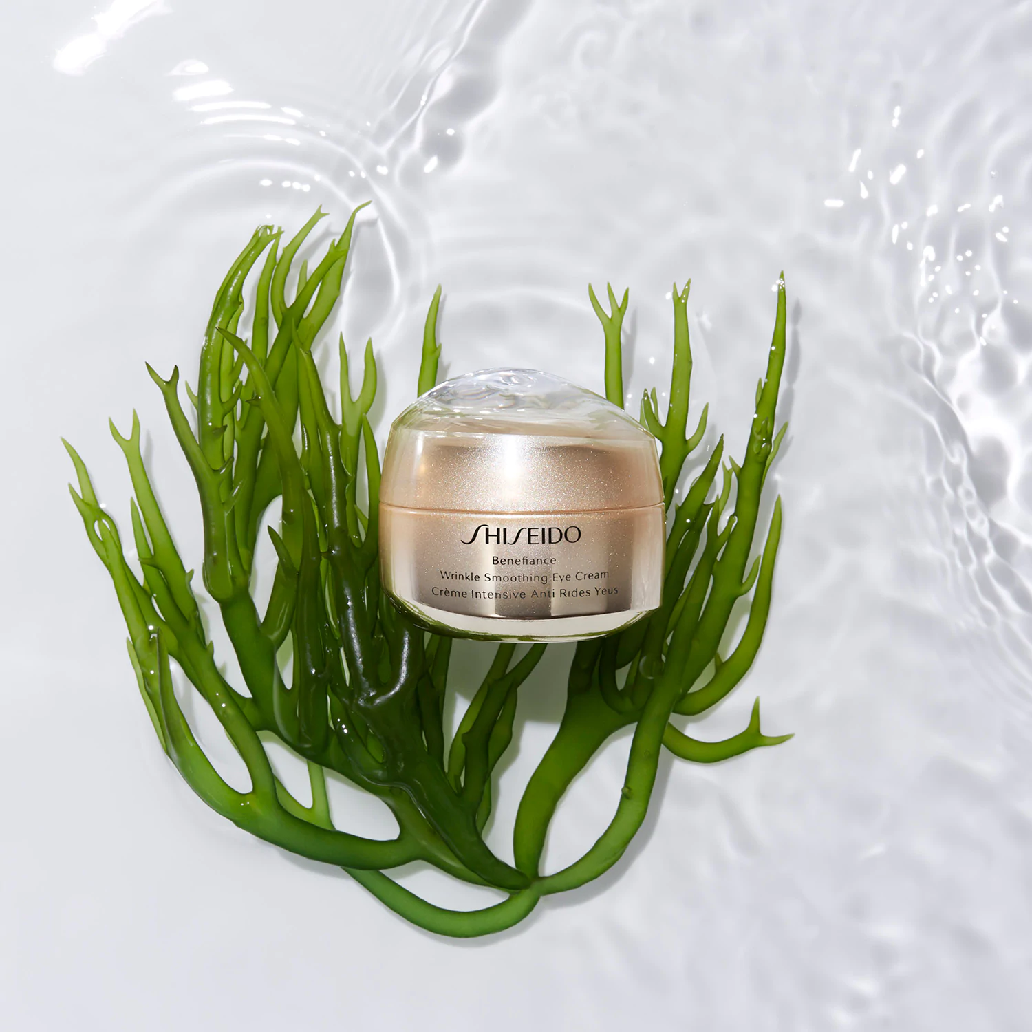Shiseido Benefiance Wrinkle Smoothing Cream  50 ml