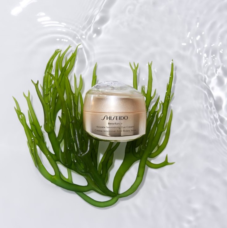 Shiseido Benefiance Wrinkle Smoothing Eye Cream  15 ml